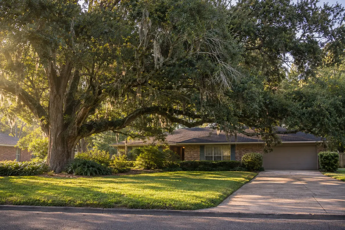An overgrown live oak with heavy limbs over a brick house