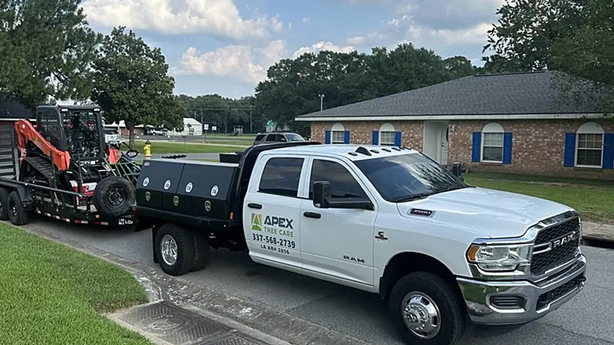 The Apex Tree Care truck and loader parked outside a Lafayette home